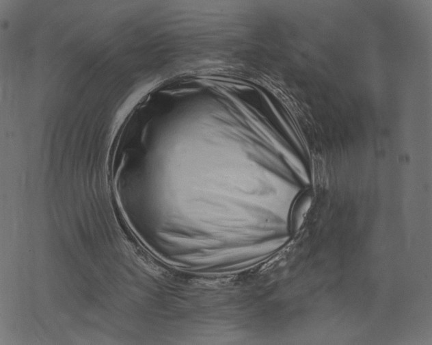 X0000073740147200608171315