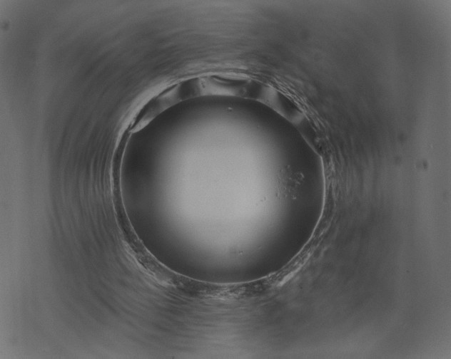 X0000073740148200608171315