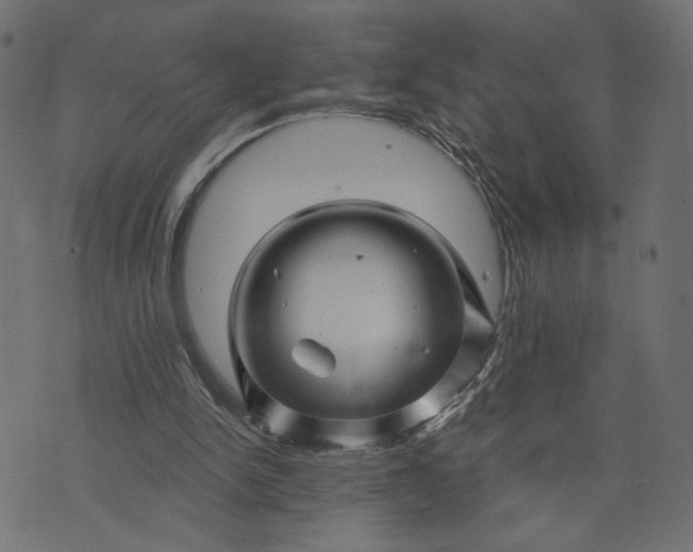 X0000073740150200608171315