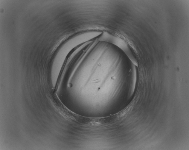 X0000073740159200608171315