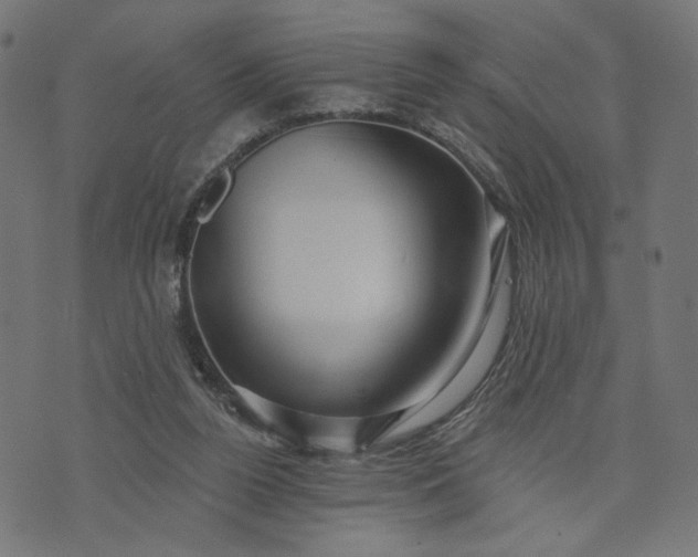 X0000073740160200608171315