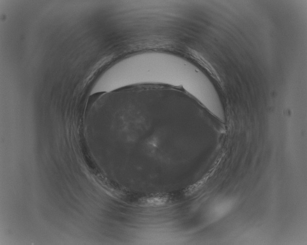 X0000073740163200608171315