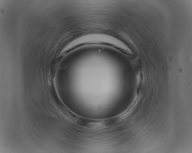 X0000073740170200608171315
