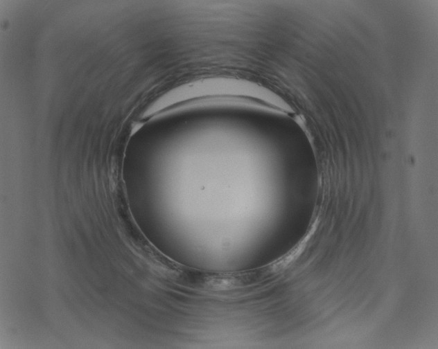 X0000073740174200608171315