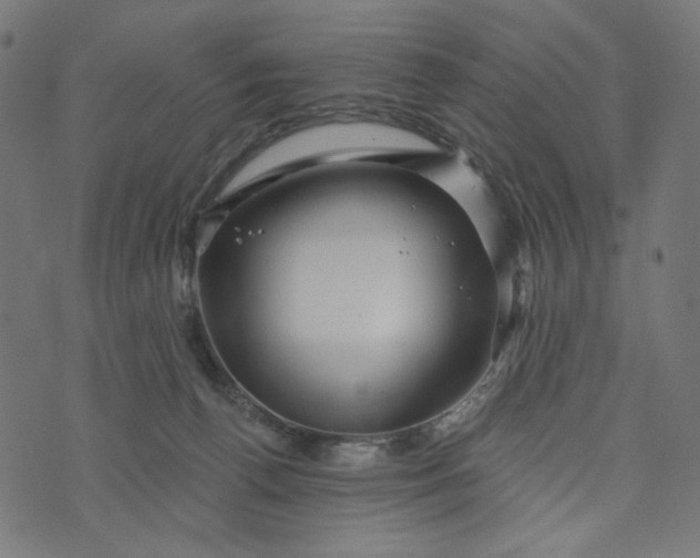 X0000073740176200608171315