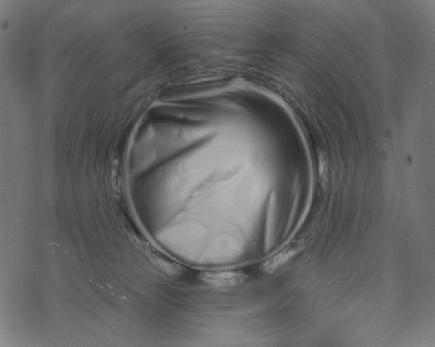 X0000073740181200608171315