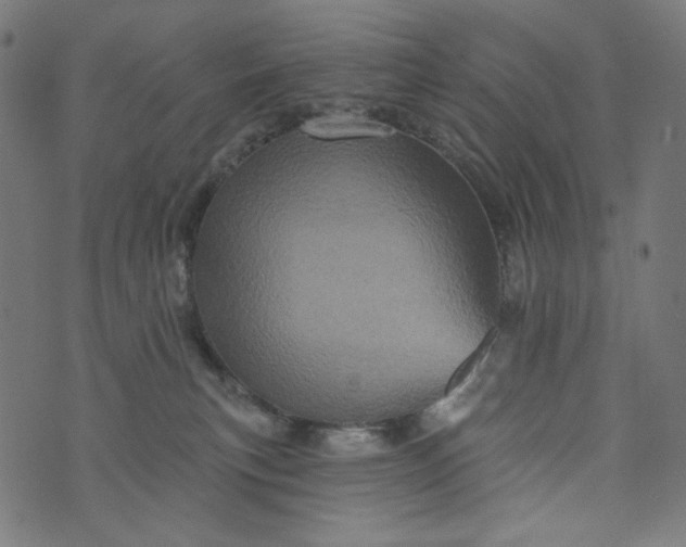 X0000073740183200608171315