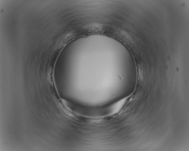 X0000073740185200608171315
