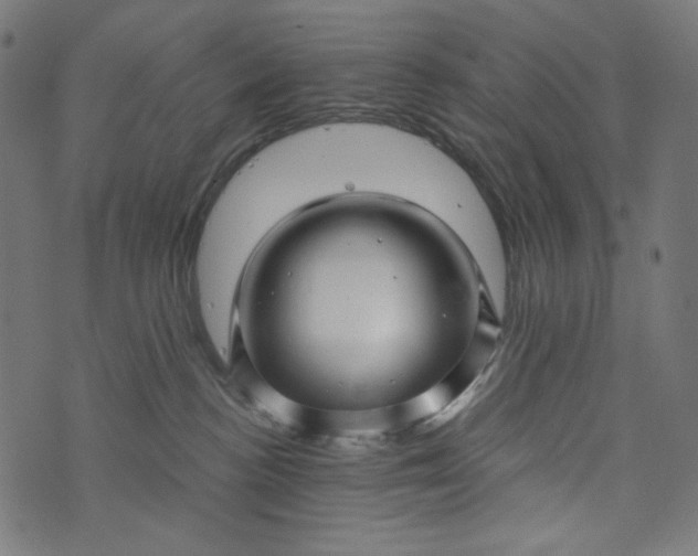 X0000073740188200608171315