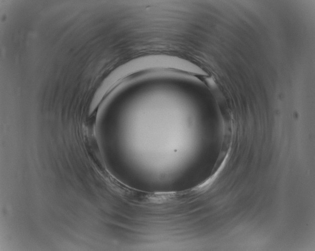 X0000073740190200608171315