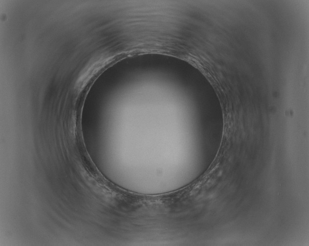 X0000073740194200608171315