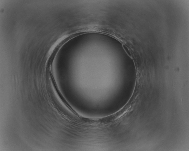 X0000073740200200608171314