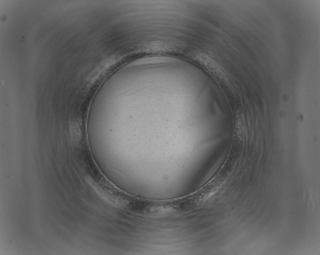 X0000073740208200608171314