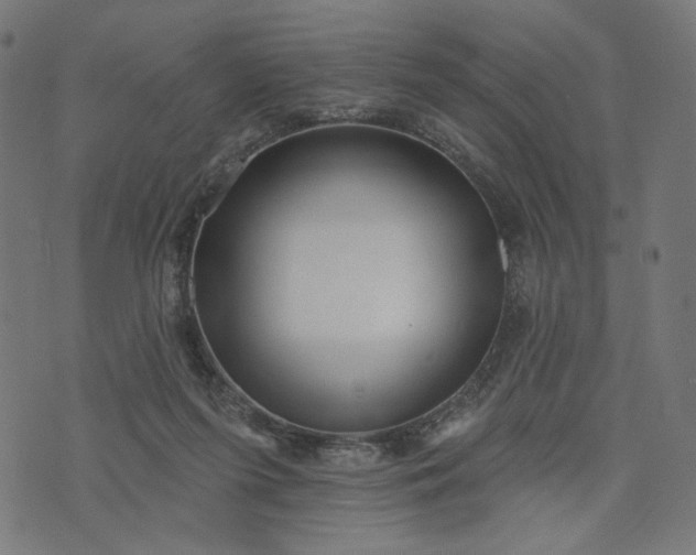 X0000073740215200608171314
