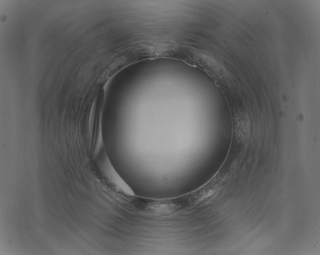 X0000073740221200608171314
