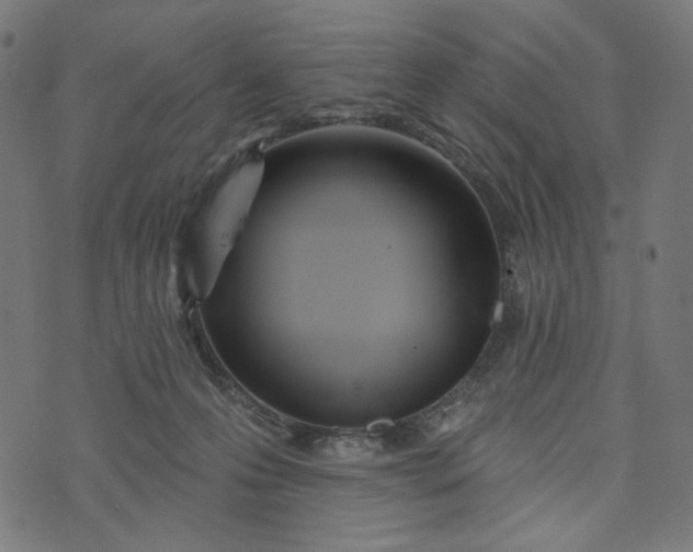 X0000073740223200608171314