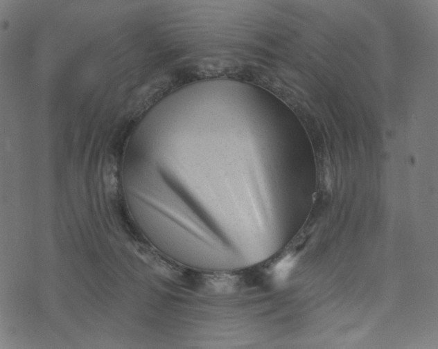 X0000073740226200608171314