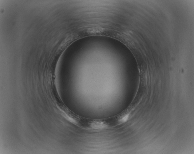 X0000073740227200608171314