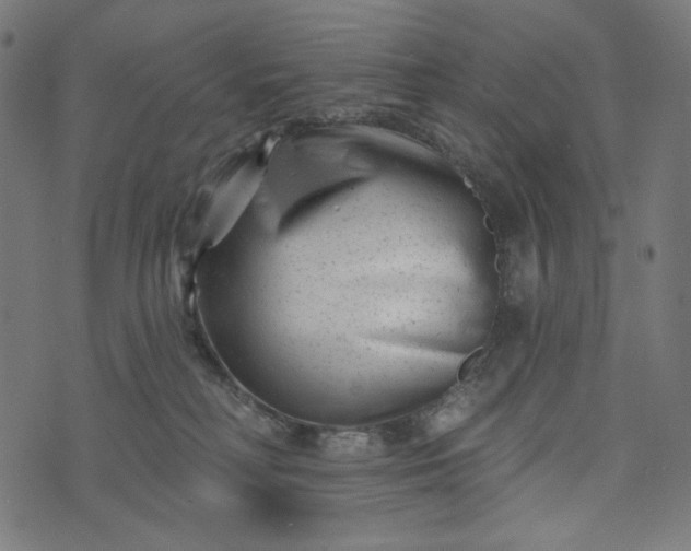 X0000073740230200608171314