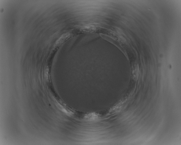 X0000073740231200608171314