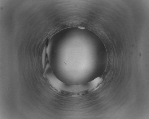 X0000073740232200608171314