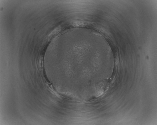 X0000073740233200608171314