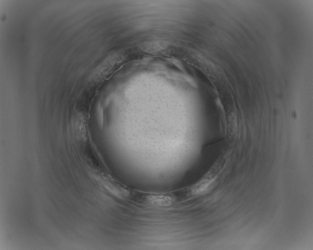 X0000073740234200608171314
