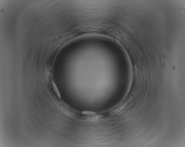 X0000073740235200608171314