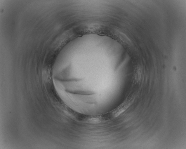 X0000073740236200608171314
