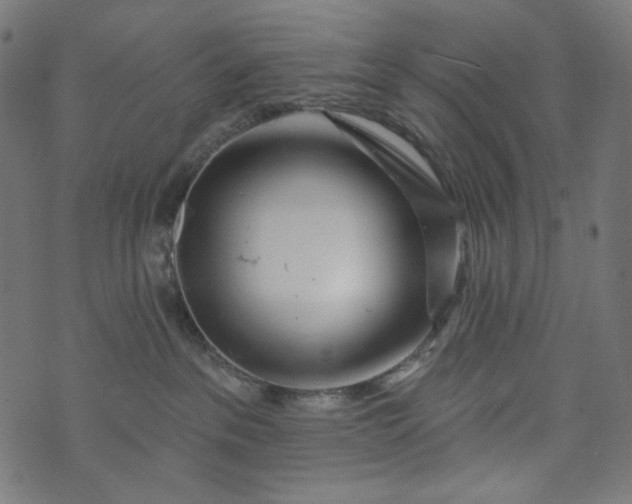 X0000073740237200608171314