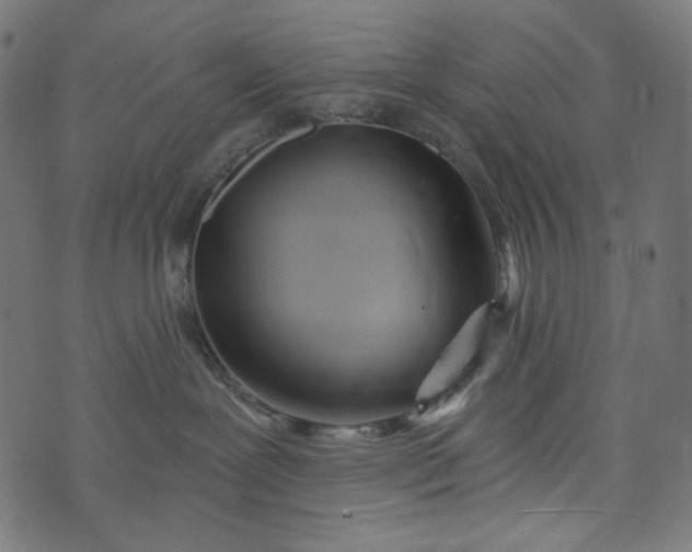X0000073740239200608171314
