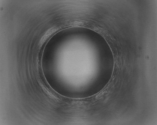 X0000073740242200608171313