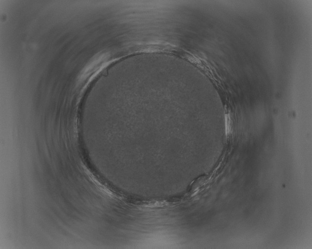 X0000073740243200608171313