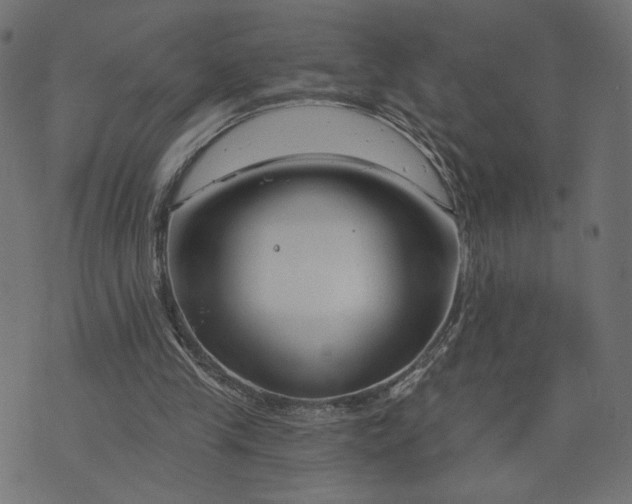 X0000073740245200608171313