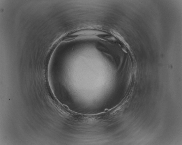 X0000073740249200608171313