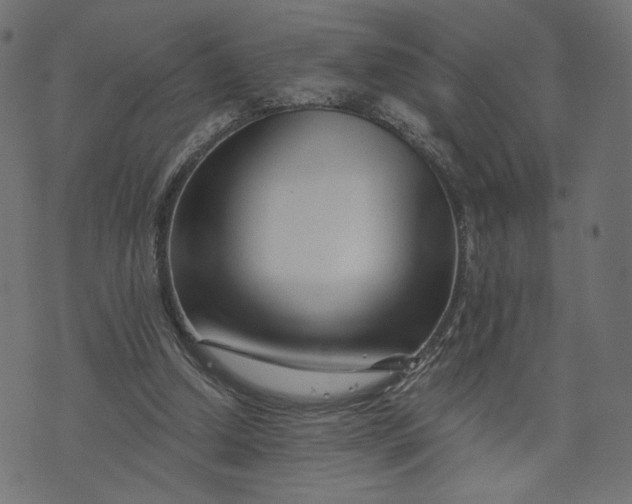 X0000073740250200608171313