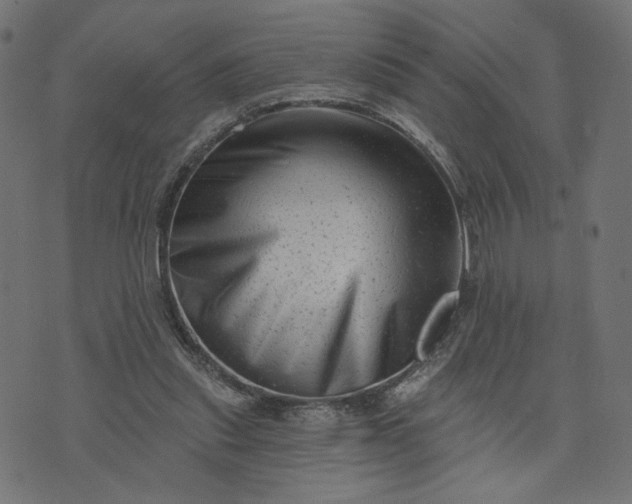 X0000073740253200608171313