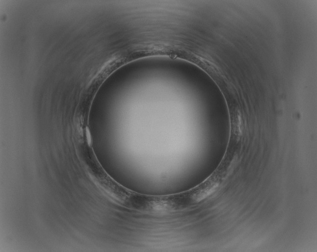 X0000073740264200608171313