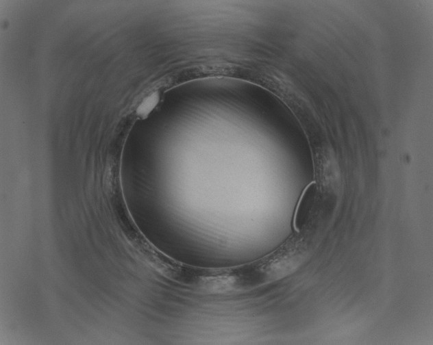 X0000073740266200608171313