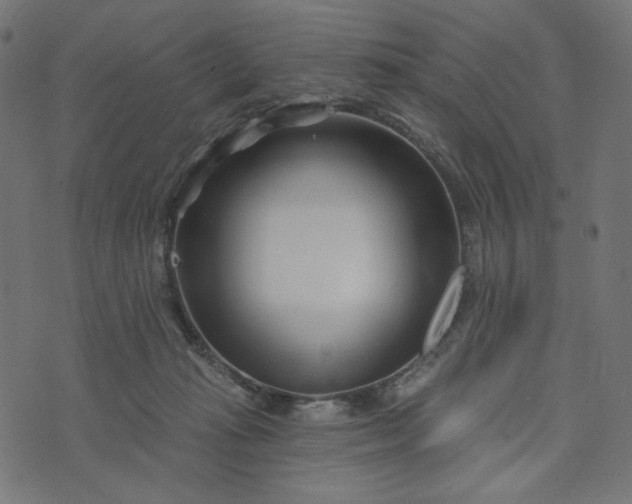 X0000073740269200608171313