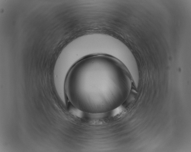 X0000073740272200608171313