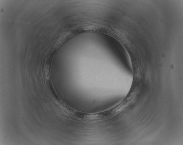 X0000073740273200608171313