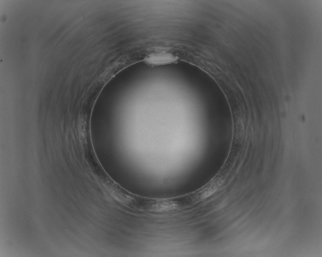 X0000073740274200608171314