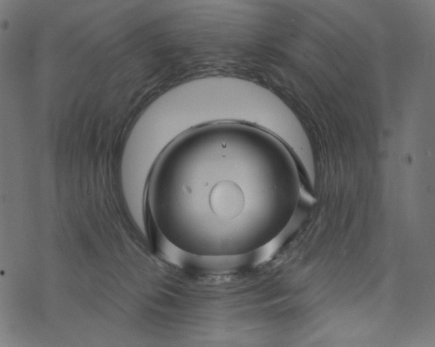X0000073740276200608171314