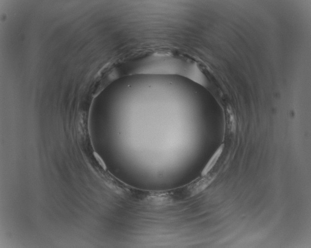 X0000073740280200608171314