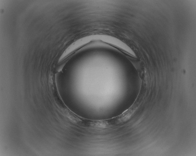 X0000073740282200608171314