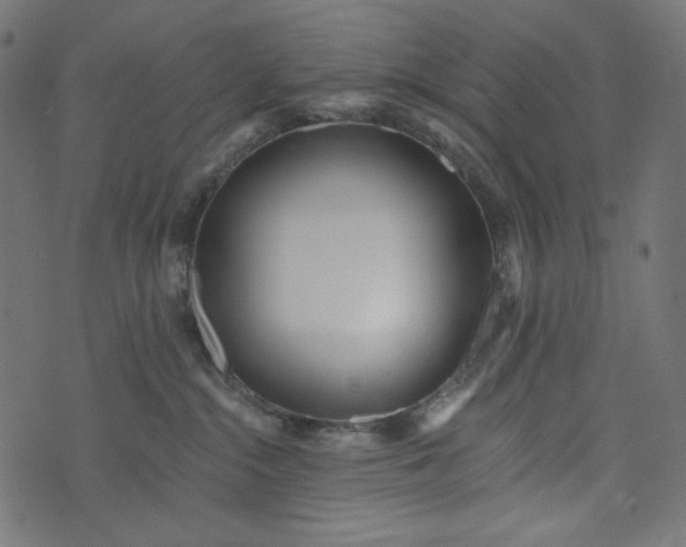 X0000073740284200608171314