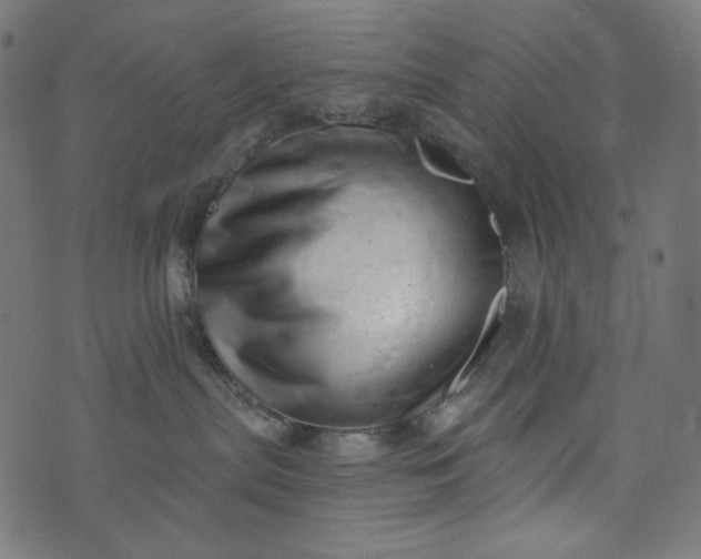 X0000073740287200608171314