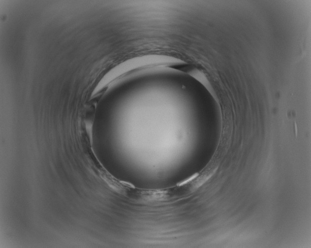 X0000073740288200608171314