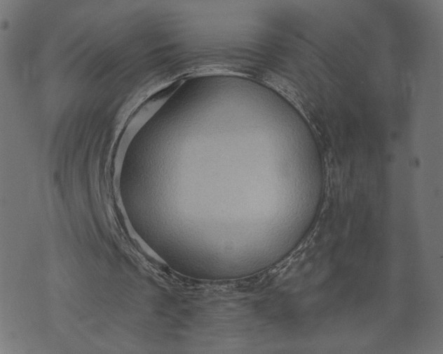 X0000073740289200608171313